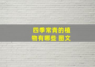 四季常青的植物有哪些 图文